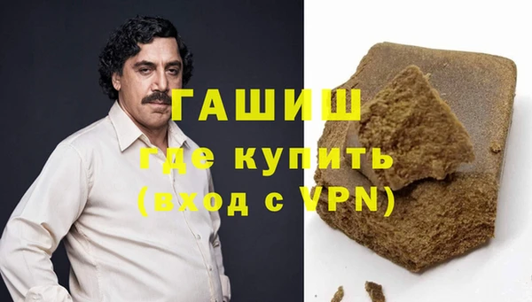 индика Елабуга