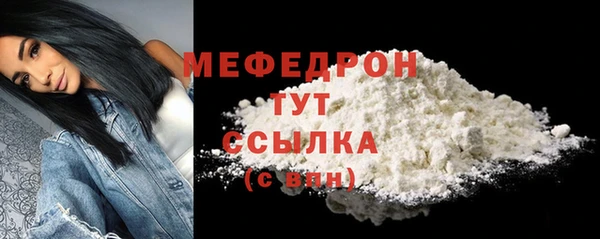 индика Елабуга
