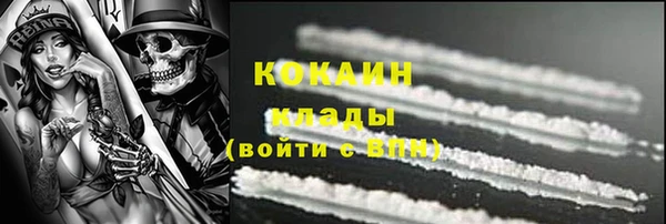 индика Елабуга