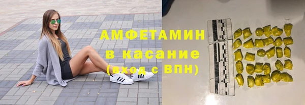 индика Елабуга