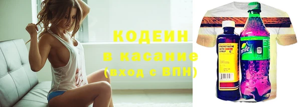 индика Елабуга