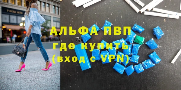 индика Елабуга