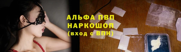 индика Елабуга