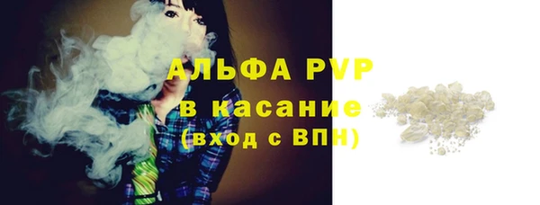 индика Елабуга