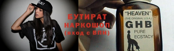 индика Елабуга