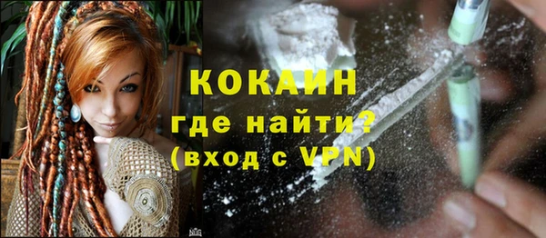индика Елабуга