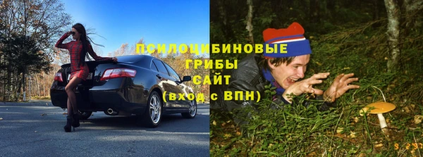 индика Елабуга