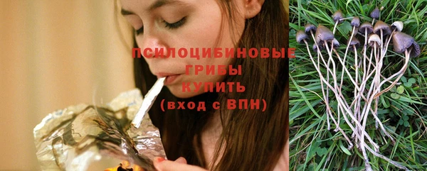 мескалин Елизово