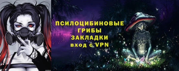 индика Елабуга