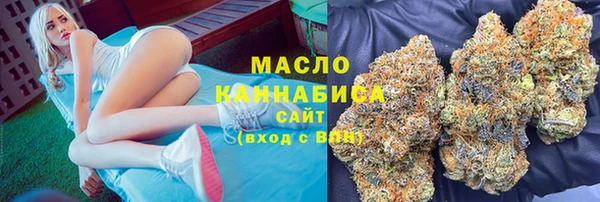 индика Елабуга