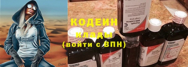 кокс Ельня