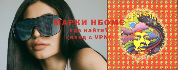 индика Елабуга
