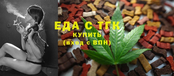 индика Елабуга