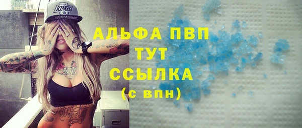 индика Елабуга