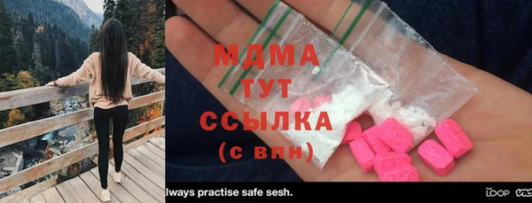 индика Елабуга